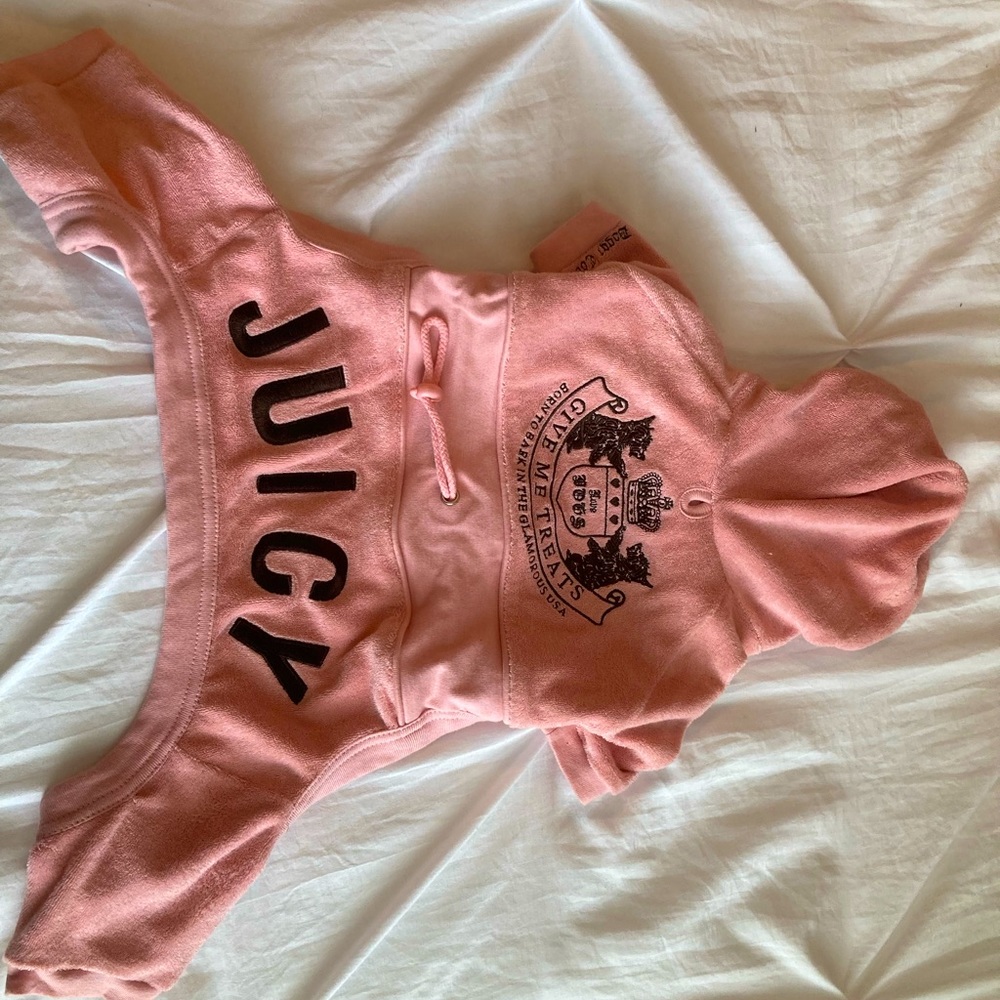 Juicy Couture Dog Tracksuit